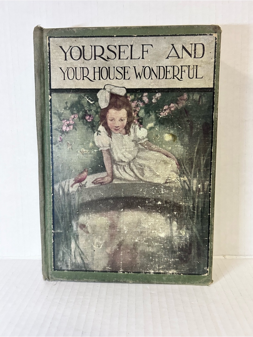 Vintage Book - Yourself and Your House Wonderful